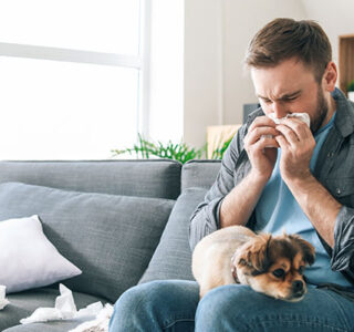 Helpful Home Tips for Spring Allergy Relief