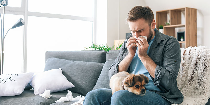 Helpful Home Tips for Spring Allergy Relief
